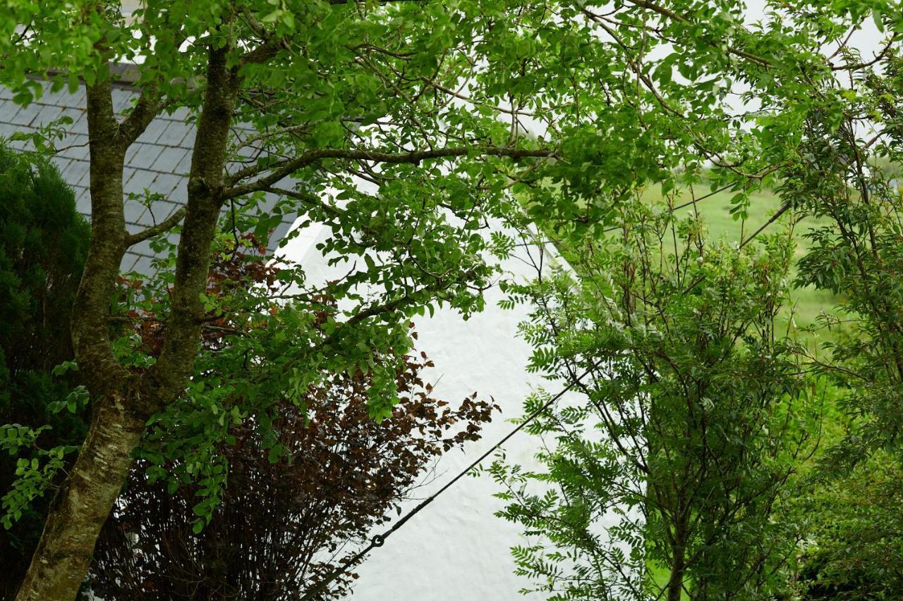 Hawthorn * Uig (Isle of Skye)